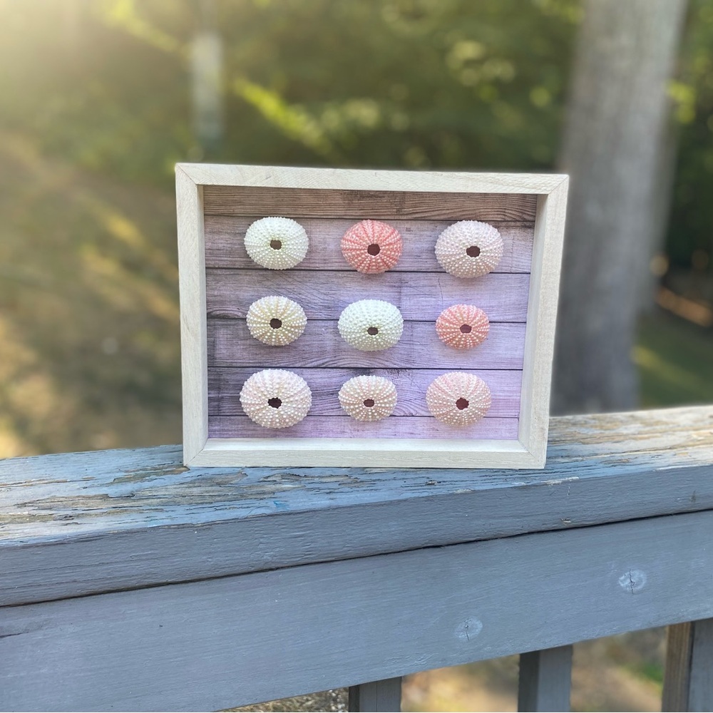 Sea Urchin Wall Art